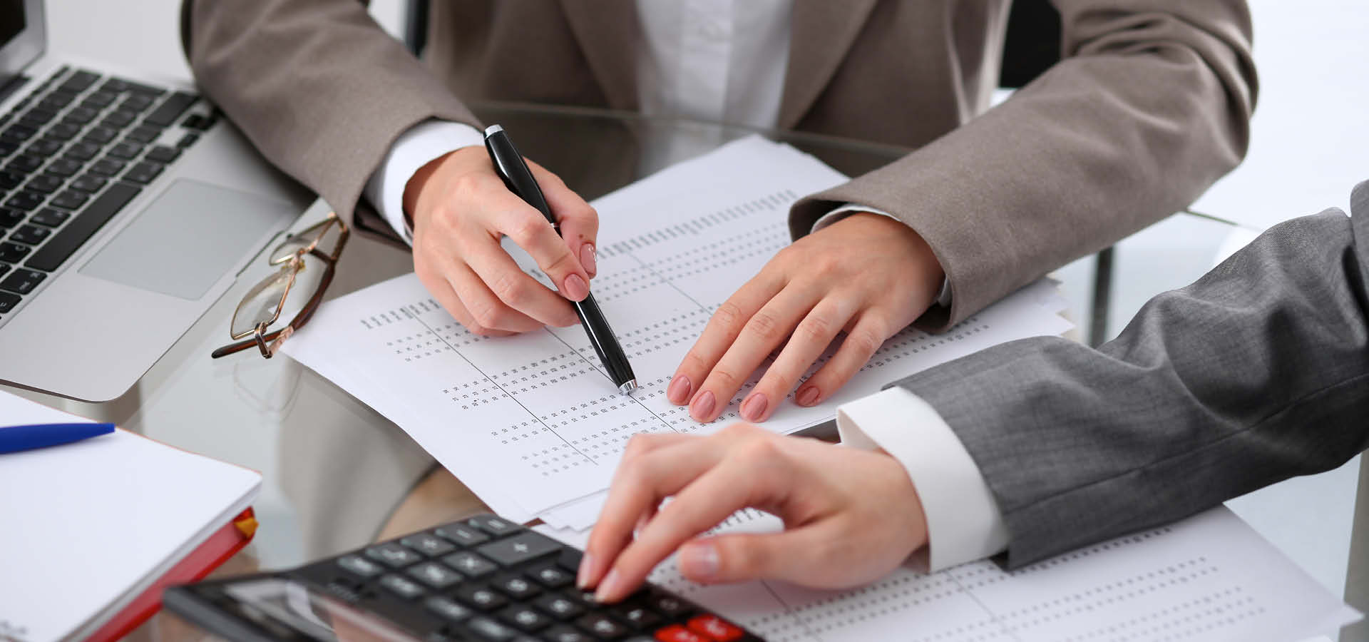 Analytical and Auditing Skills